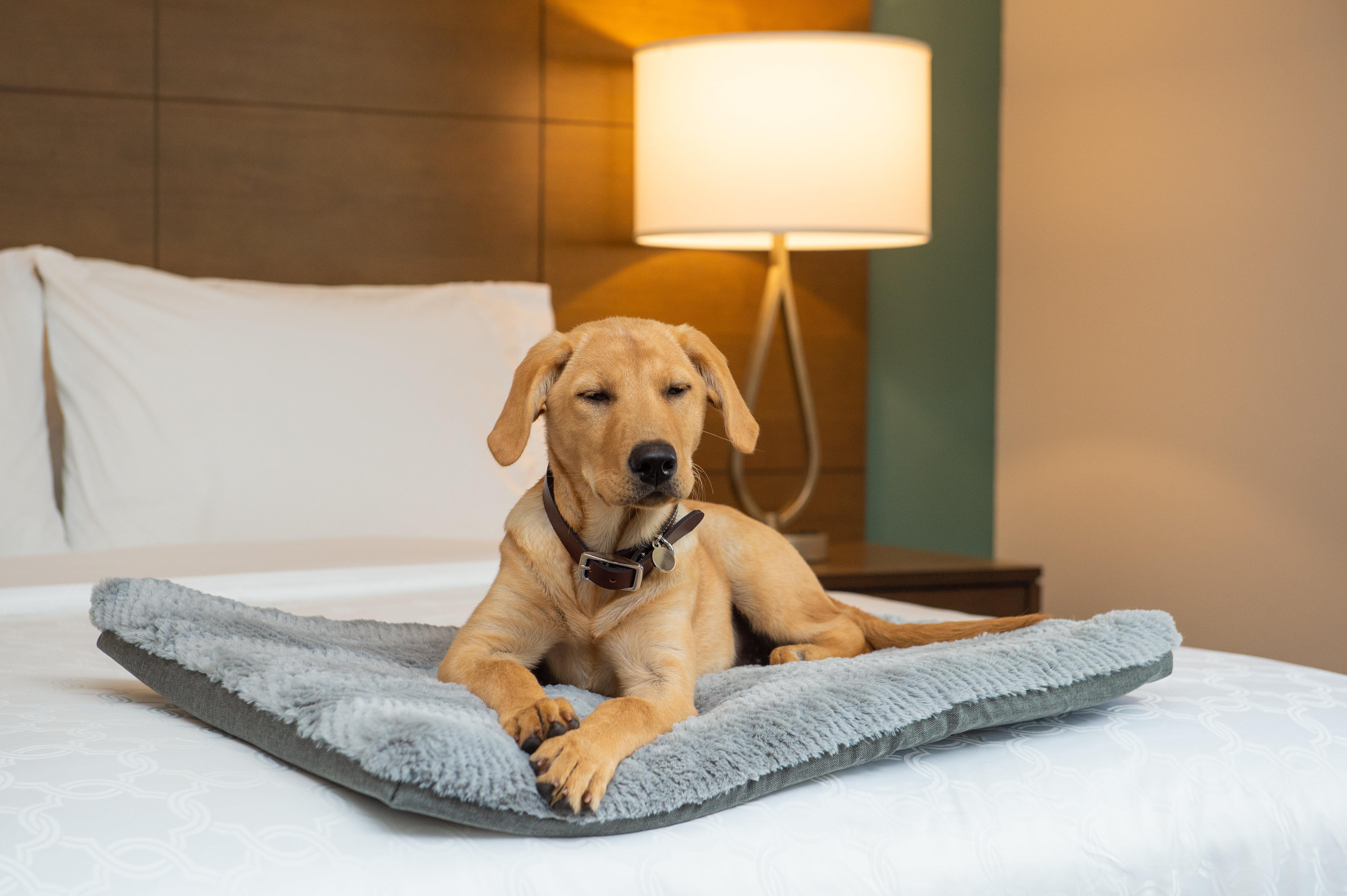 Staybridge Suites - Hillsboro North By Ihg Luaran gambar